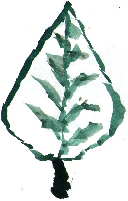 201.pct