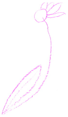 202.pct