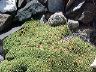 andes9.jpg
