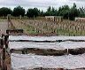 farm04