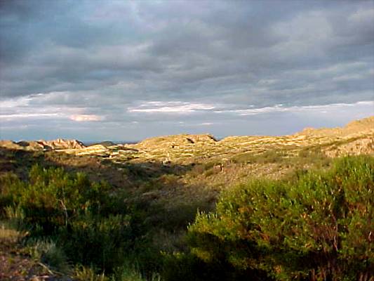mazeta-country6