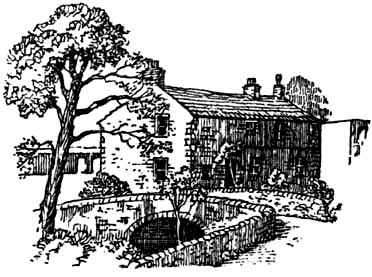 drawings 1.jpg