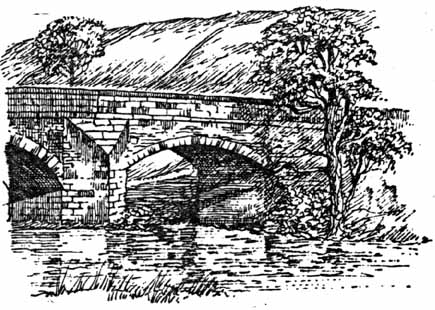 drawings 4.jpg