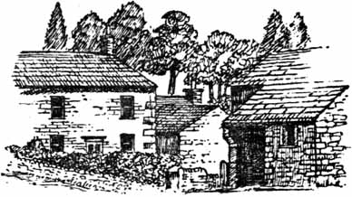 drawings 8.jpg