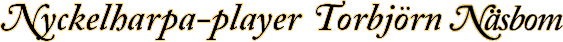 Nyckelharpisten Torbj�rn N�sbom