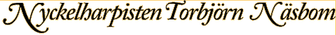 Nyckelharpisten Torbj�rn N�sbom