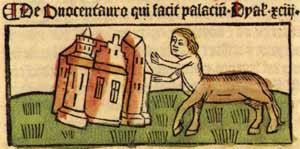 donkey-centaur