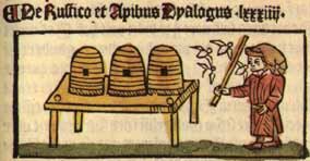 De Rustico