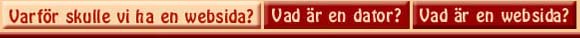 Varf&ouml;r skulle vi ha en web-sida?